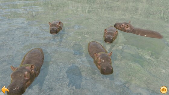 Hippo's World: A Daily Tale 1.0.1. Скриншот 5