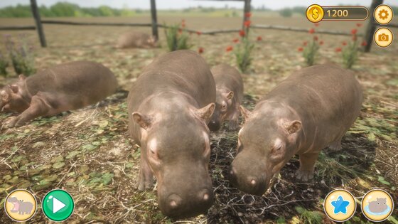 Hippo's World: A Daily Tale 1.0.1. Скриншот 11