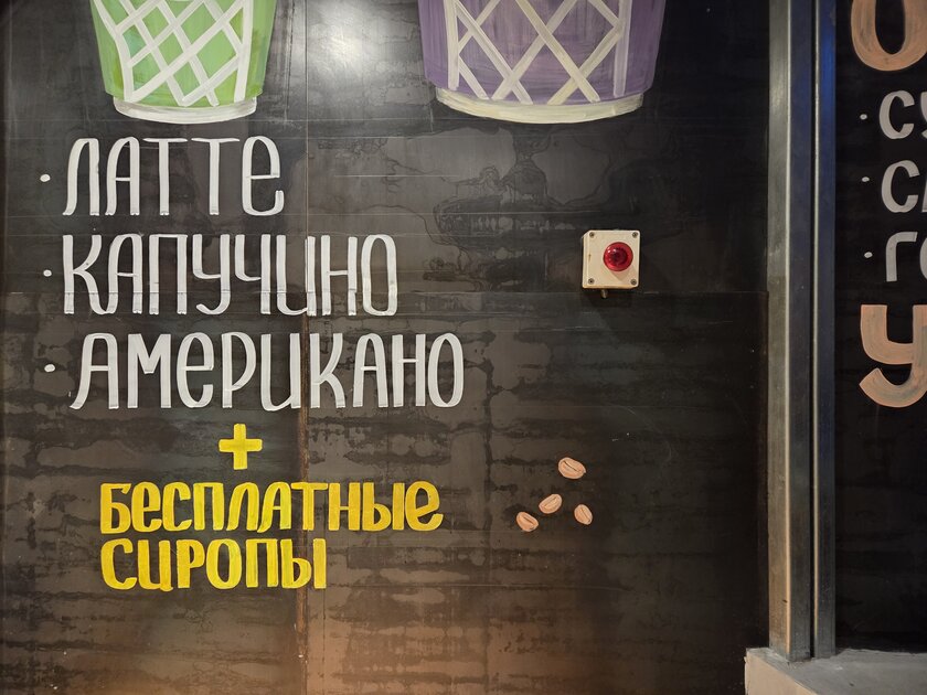 Минорное обновление с локальным ИИ и флагманским чипом: обзор Samsung Galaxy S25 — Качество снимков. 6