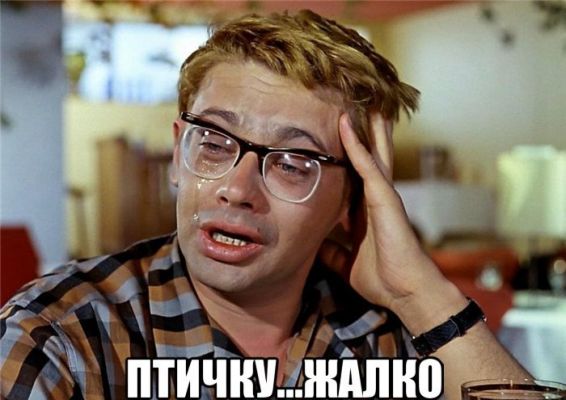 "Птичка-невеличка": Flappy Bird и её феномен