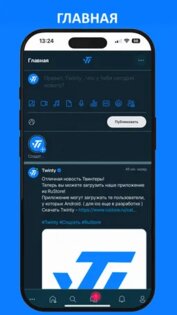 Twinty. Скриншот 1
