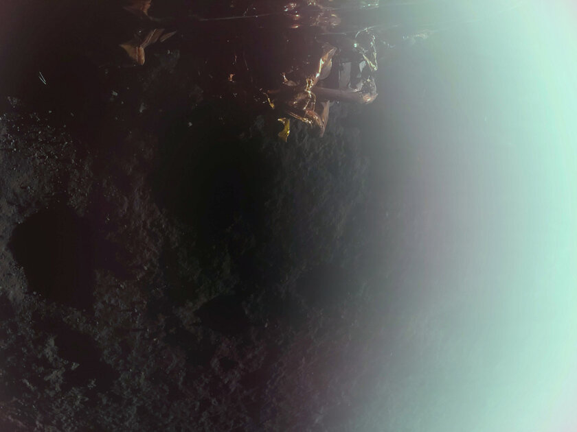 Модуль частной компании Firefly Aerospace успешно прилунился. Вот его первые фото