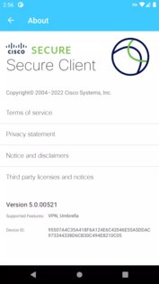 Cisco Secure Client 5.1.9.115. Скриншот 4