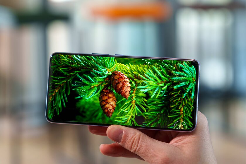 Смартфон получил всё, чего не хватает недорогим моделям. Обзор vivo V50 — присмотритесь к кольцу