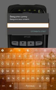 Симулятор терминала. Скриншот 2