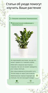 CarePlant — ваш заботливый помощник в уходе за растениями. Скриншот 5