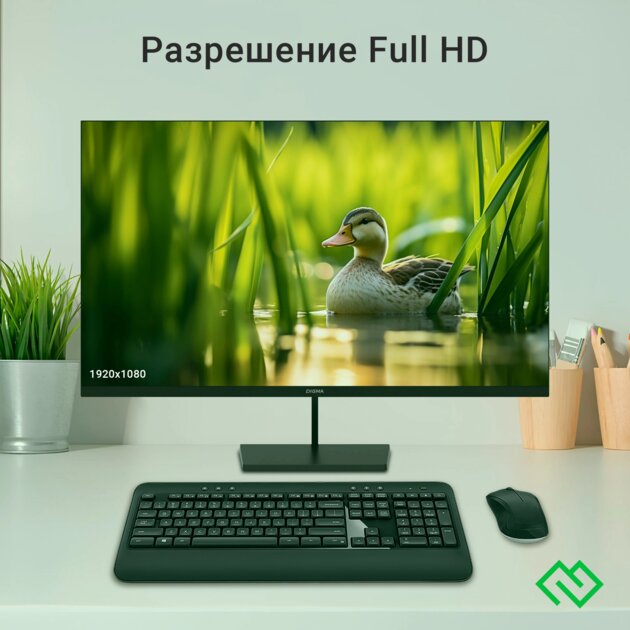 Недорогой монитор для работы, фильмов и даже игр: обзор Digma 31.5" Progress 32P501F