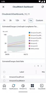 AWS Console 3.21.1. Скриншот 2