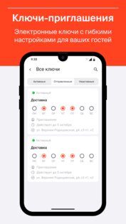 Domonap 9824. Скриншот 3