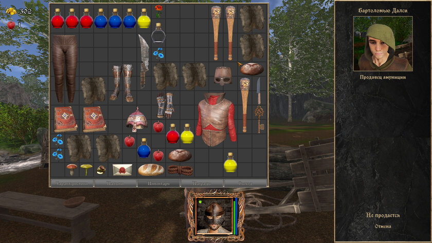 Российская игра в духе олдовых RPG. Обзор «Струны судьбы XI: Волшебный сон»