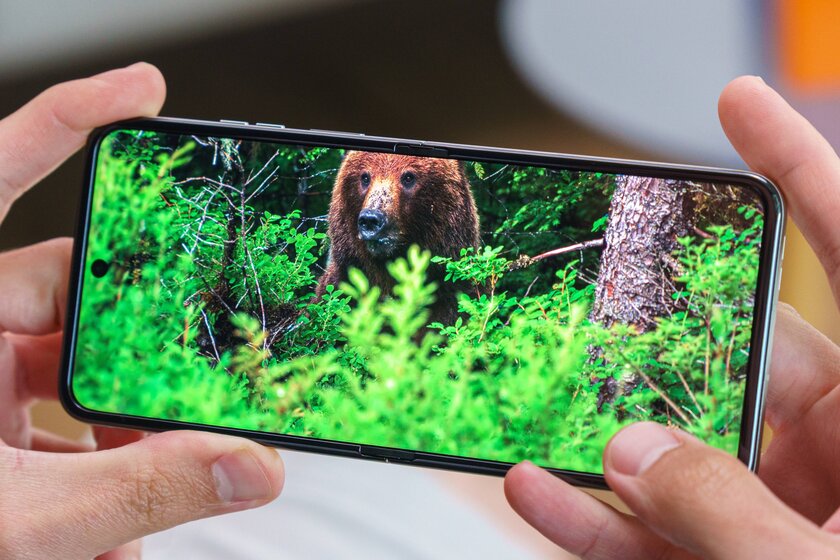 Шикарный дисплей, неплохие камеры и минимум апгрейдов: обзор Motorola Razr 60 — Дисплеи. 8