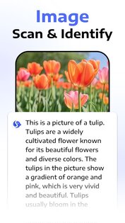 AI Seek 2.1.0-25092962. Скриншот 5