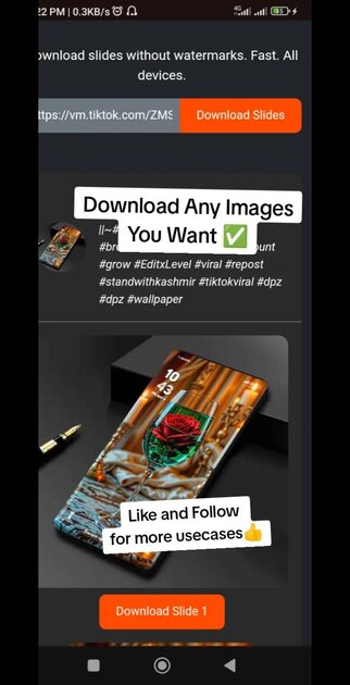 How to save TikTok Photo/Wallpapers Without Watermark — tiksave.one