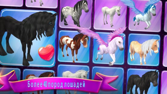 Horse Paradise 2.15. Скриншот 11