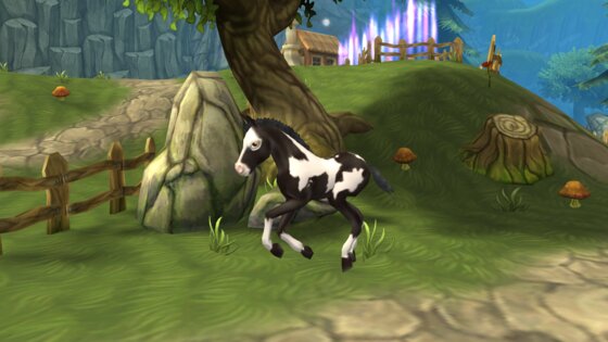 Horse Paradise 2.15. Скриншот 17