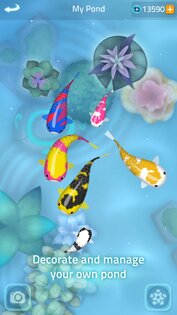 Zen Koi 2 2.7.4. Скриншот 5