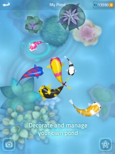 Zen Koi 2 2.7.4. Скриншот 20