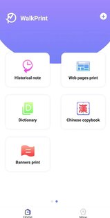 WalkPrint 13.7. Скриншот 2
