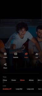 Visha Player 8.1.9.01. Скриншот 4
