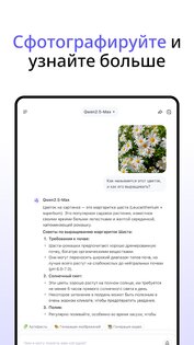 Qwen Chat 1.3.1. Скриншот 13