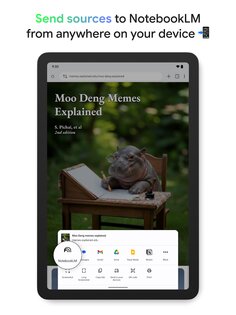 Google NotebookLM 2025.07.08.780770238. Скриншот 12