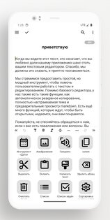Lite Writer 1.95.7. Скриншот 2