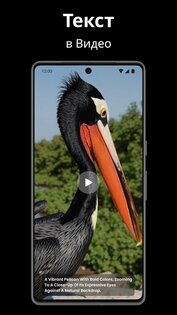 Видео ИИ — Объятия и Поцелуи 1.4.0. Скриншот 6