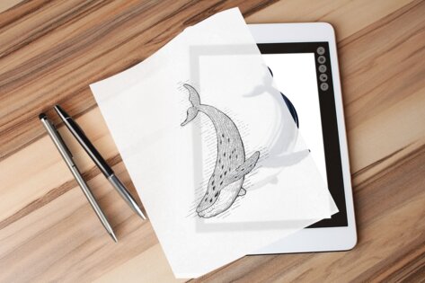 Papercopy 3.1.1. Скриншот 4