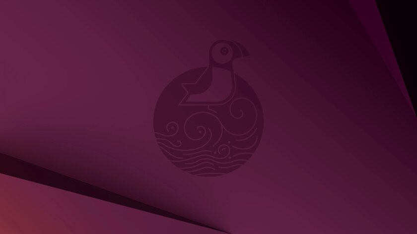В Ubuntu 25.10 появится полнодисковое шифрование на основе TPM: оно будет опциональным