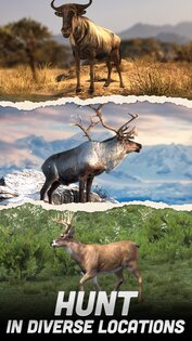 Hunting Battle: Hunter Game 3.02.02. Скриншот 2