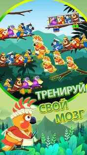 Bird Sort 2: Color Puzzle 4.0.0. Скриншот 3