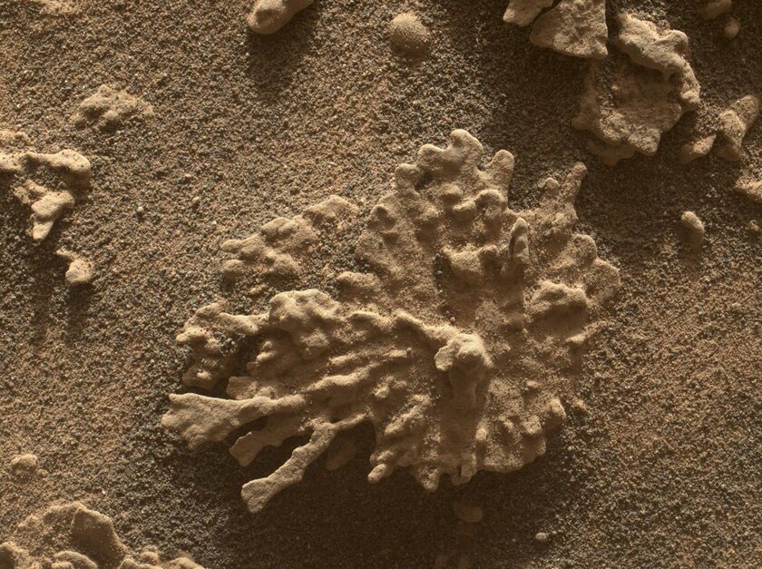 На Марсе есть камни в форме коралла. Один такой обнаружил Curiosity