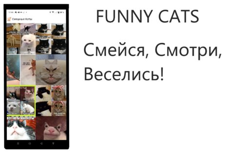 Funny Cats. Скриншот 1