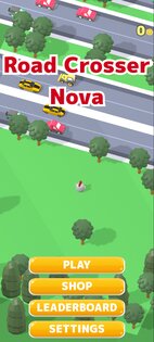 Road Crosser Nova. Скриншот 1