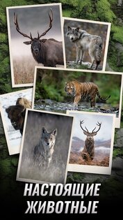 Trophy Hunter 2.3.0. Скриншот 15