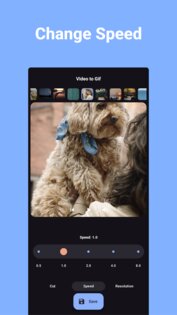 Конвертер видео в GIF 1.0.11. Скриншот 3