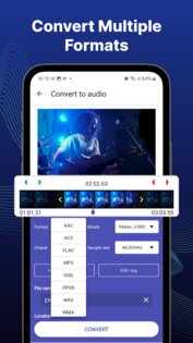 Конвертер видео в MP3 2.6.98. Скриншот 3