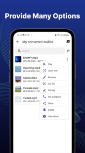 Конвертер видео в MP3 2.6.98. Скриншот 20