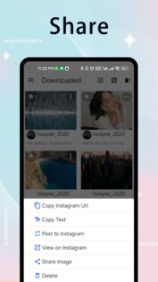 IngSaver 2.0.4. Скриншот 5