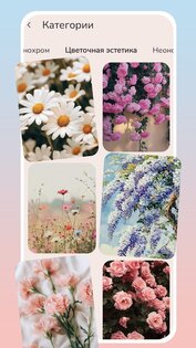 Aesthetic Pink Black Wallpaper 1.2.4. Скриншот 6