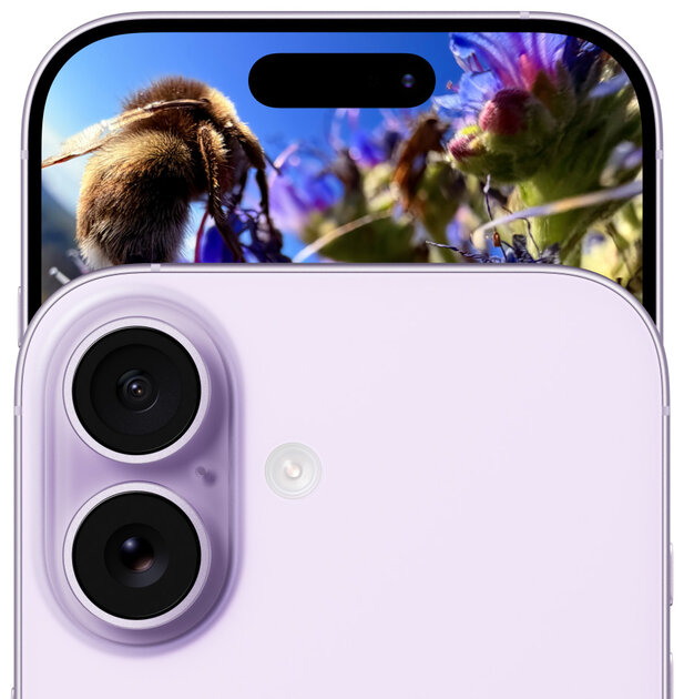 iPhone 17 получил увеличенный экран с поддержкой ProMotion и частотой обновления 120 Гц