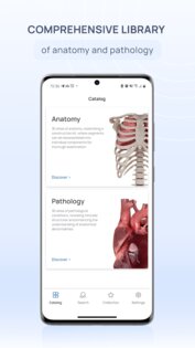 VOKA 3D Anatomy & Pathology 6.6.0. Скриншот 1