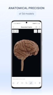 VOKA 3D Anatomy & Pathology 6.6.0. Скриншот 2