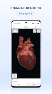 VOKA 3D Anatomy & Pathology 6.6.0. Скриншот 3