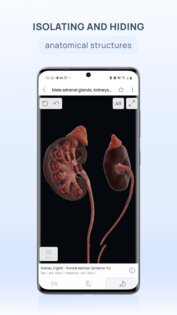 VOKA 3D Anatomy & Pathology 6.6.0. Скриншот 4