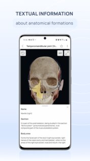 VOKA 3D Anatomy & Pathology 6.6.0. Скриншот 5