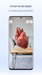 VOKA 3D Anatomy & Pathology 6.6.0. Скриншот 8