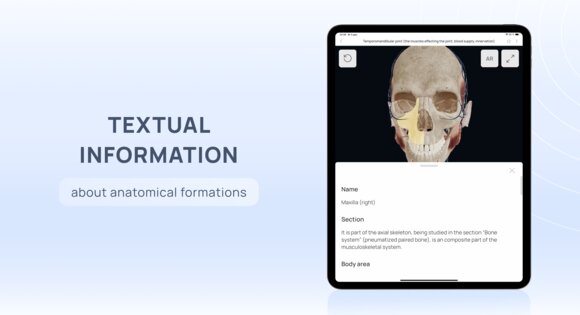 VOKA 3D Anatomy & Pathology 6.6.0. Скриншот 13