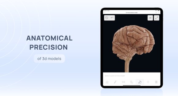 VOKA 3D Anatomy & Pathology 6.6.0. Скриншот 18