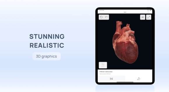 VOKA 3D Anatomy & Pathology 6.6.0. Скриншот 19